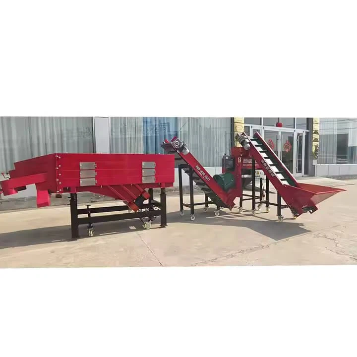 Hot Sale Ce Certified Garlic Peeler Sorter Stainless Steel 500kg/H Capacity With Dust Removal