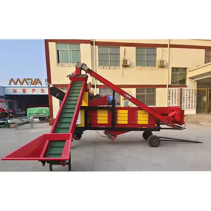 Hot Sale Ce Certified Garlic Peeler Sorter Stainless Steel 500kg/H Capacity With Dust Removal