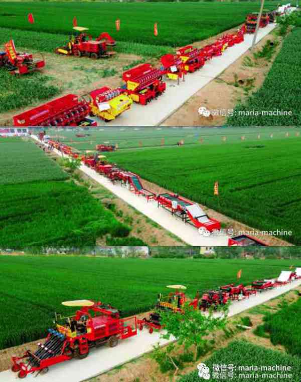 product-600-762