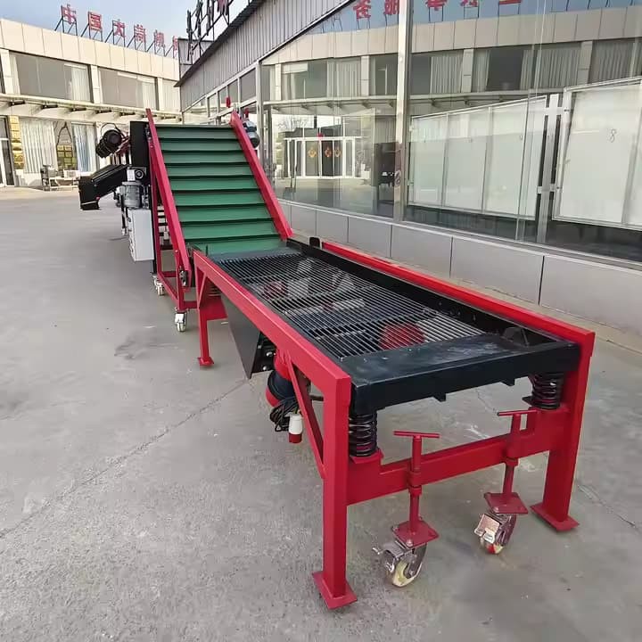 CE認定ガーリックソーターコマーシャルニンニク加工機械保証高速出荷ニンニクソーティングサイザーマシン