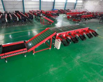 大ガーリックソーター