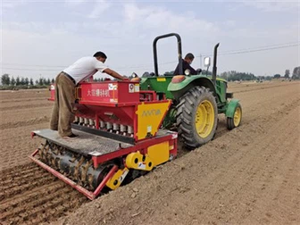 大ガーリックシダー